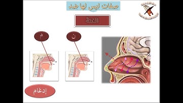 تعلم قراءة القرآن وقواعد التجويد - صفات الحروف - صفة الغنة