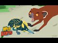 Wildlife Adventure Quiz