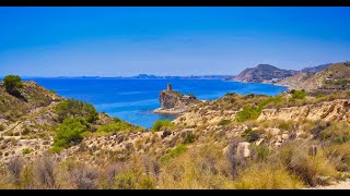 Cala del Charco 2020 (alrededores)
