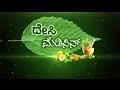 Desi Medicine - ಯುಗಾದಿ ಸ್ಪೆಷಲ್ - 29th March 2017 - ದೇಸಿ ಮೆಡಿಸಿನ್ | ಸುದ್ದಿ ಟಿವಿ