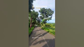 Desa Kubang Kab Cirebon Jawa barat !!#vlog #cirebon #jawabarat