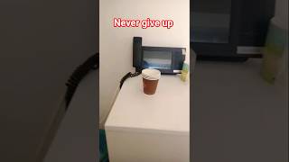 never give up #youtubeshorts #lifeisbutadream #magicshow #travel #duet