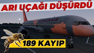 'UFACIK ARI' Dev Uçağın Düşmesine Sebep Oldu! | Türk Pilotlar Ne Olduğunu Anlamadılar