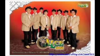 alce norteno porque me haces llorar
