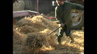 Threshing the Wheat by Studio 12 Archive 207 views 2 years ago 3 minutes, 7 seconds