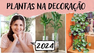 AS MAIS LINDAS PLANTAS NA DECORAÇÃO  EM 2024