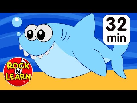 ⁣Baby Shark | + More Kids Songs | Nursery Rhymes