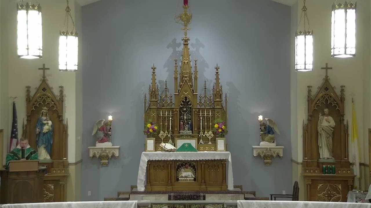 Fr. Aloysius - Sermon, 12th Sunday after Pentecost, 2025