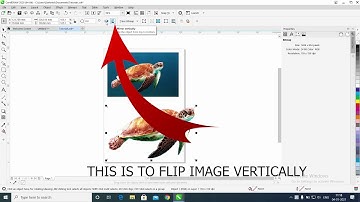 Flip or Mirror an Image using CorelDraw