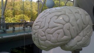 Имитация Мозга. Искусственный Разум в HD Имитация Мозга. Искусственный Разум в HD