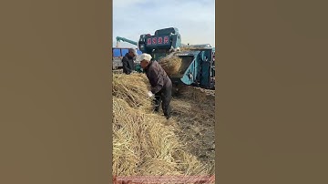 Processing Rice Straw with a Shredder
