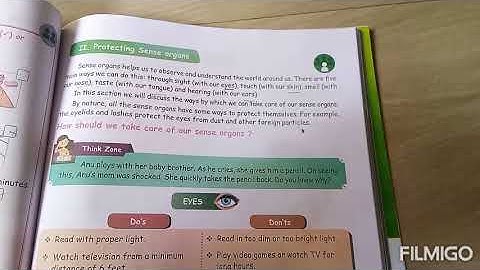 3 Std science :ll. Protecting sense organs