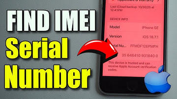 How to find the Serial Number & IMEI on iPhone (Best Method)
