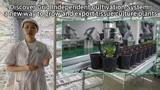 Discover Grid Independent Cultivation System — a new way to grow and export tissue culture plants Discover Grid Independent Cultivation System — a new way to grow and export tissue culture plants