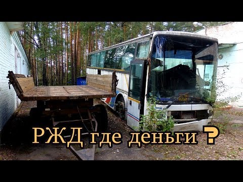 Так они продают детство. Не заброшенный лагерь - СОСНОВЫЙ БОР