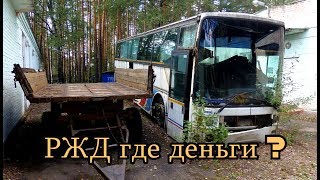 картинка: Так они продают детство. Не заброшенный лагерь - СОСНОВЫЙ БОР