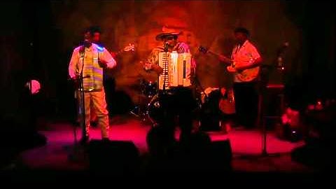 Thumbnail of Nathan Williams & The Zydeco Cha Chas - I Can't Stop Loving