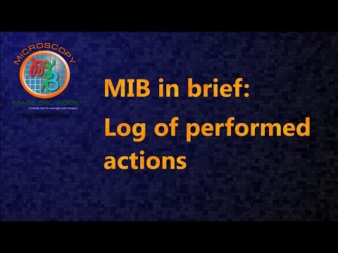 MIB in brief: Log of performed actions