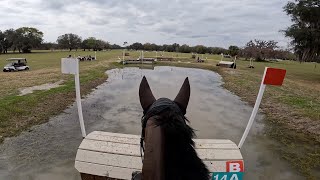 GoPro: Capo dei Capi (Open Preliminary | 2024 Rocking Horse Winter III) by Elisa Wallace Eventing 9,912 views 2 months ago 9 minutes, 40 seconds