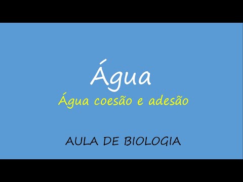 Vídeo: O que são propriedades coesivas e adesivas da água?