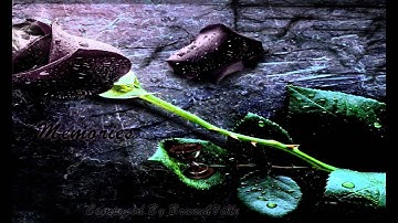 Emotional Music - Memories