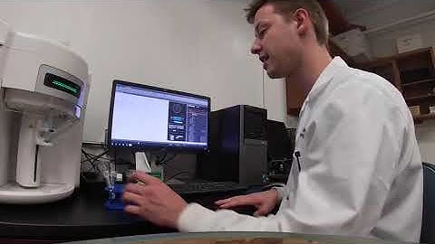 BIO320: Video 14. Learning how to use the Attune NxT Flow Cytometer for ROS and Apoptosis.