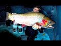 INSANE HUGE TROUT SIGHT FISHING FROZEN EPIC HIDDEN DANGEROUS CLEAR MYSTERY LAKE STRANDED CHALLENGE?!