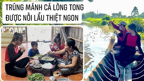 Trải nghiệm cùng cậu tư bắt cá long tong về làm nồi lẩu thiệt ngon | 233