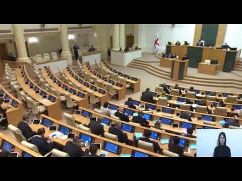 ერთპარტიულმა პარლამენტმა ამნისტიის შესახებ კანონპროექტი პირველი მოსმენით დაამტკიცა