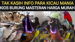 Download Lagu ⭐INFO BUAT PARA KICAU MANIA KIOS BURUNG MASTERAN HARGA MURAH DI PASAR BURUNG PRAMUKA HARI INI MP3 Download Lagu ⭐INFO BUAT PARA KICAU MANIA KIOS BURUNG MASTERAN HARGA MURAH DI PASAR BURUNG PRAMUKA HARI INI MP3