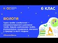 6 клас. Біологія. Групи грибів: симбіотичні – мікоризоутворюючі шапинкові гриби (Тиж.8:ПН)