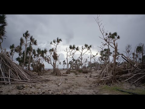 Vidéo: Une Tempête Massive Détruit La Nation De Vanuatu