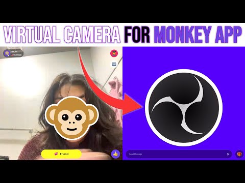 How to Use