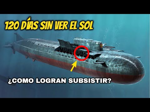 Datos Sobre La Armada: Qué Tan Profundo Puede Llegar Un Submarino