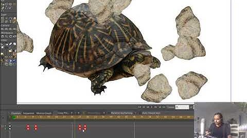 How to use Physics in Moho