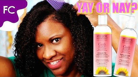 Jane Carter Solution Curls to Go Review