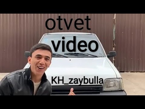 Video: Qanday Qilib Ayiq Uyada Uxlaydi