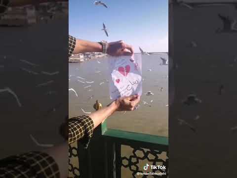 اغنيه ع اسم ريتاج 