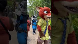 Zootopia Friends At Disneys Animal Kingdom Today