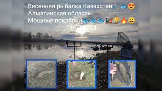 Рыбалка в Алматинской области 2024! Озеро Караой пруд 2.#fishing #рыбалка