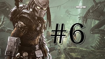Aliens vs Predator - Walkthrough - Predator - Part 6 - No commentary