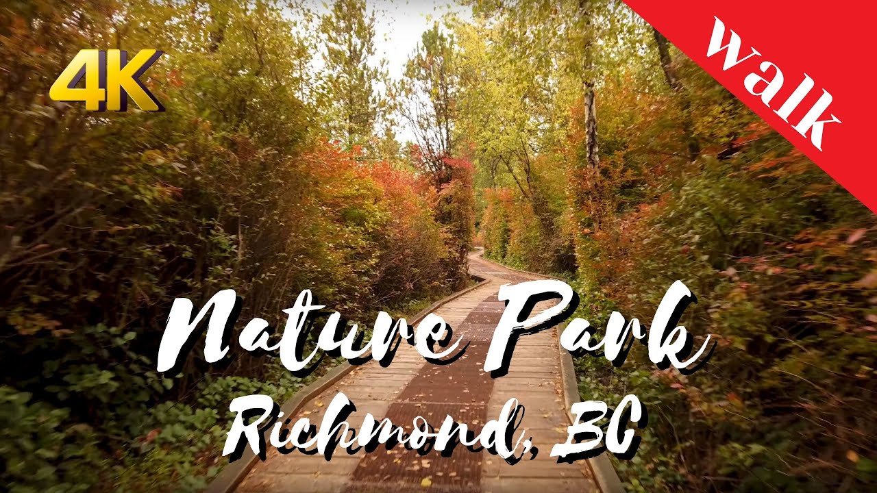 Forest Walk 4K - Richmond Nature park filmed on DJI OSMO Pocket