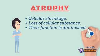 Cellular Adaptations 2