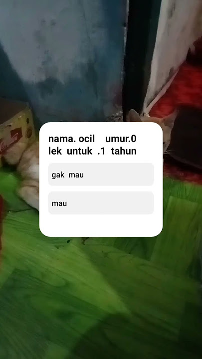 berapa  umur  ocil  sekarang