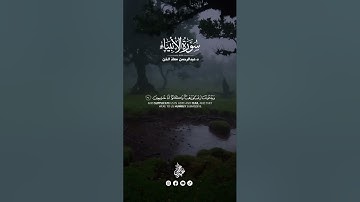 آيات مرتلة من سورة الأنبياء (89-91) 🎧🤍القارئ د.عبدالرحمن معاذ الخن