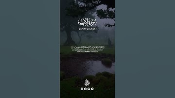 آيات مرتلة من سورة الأنبياء (89-91) 🎧🤍القارئ د.عبدالرحمن معاذ الخن