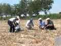 земля и вода - бесценное богатство Узбекистана