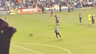 Raccoon pitch invasion. NYCFC vs Philadelphia Union 5/15/2024