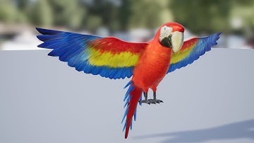 Medhue Parrot in Unreal Engine!!