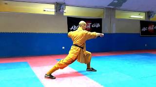 Shaolin Master Shi Heng Yi Bulgaria Seminar